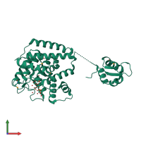 PDB entry 4rgl coloured by chain, front view.