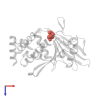 Modified residue PTR in PDB entry 4rh5, assembly 1, top view.