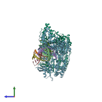 PDB entry 4ria coloured by chain, side view.