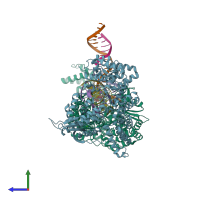 PDB entry 4ric coloured by chain, side view.