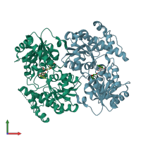 PDB entry 4rif coloured by chain, front view.