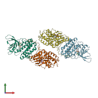 PDB entry 4riw coloured by chain, front view.