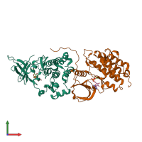 Hetero dimeric assembly 2 of PDB entry 4riy coloured by chemically distinct molecules, front view.