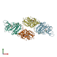 PDB entry 4riy coloured by chain, front view.