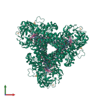 Homo trimeric assembly 2 of PDB entry 4rkn coloured by chemically distinct molecules, front view.