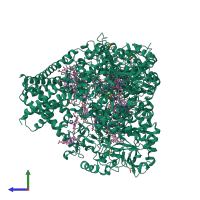 Homo trimeric assembly 2 of PDB entry 4rkn coloured by chemically distinct molecules, side view.