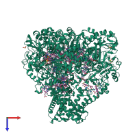 Homo trimeric assembly 2 of PDB entry 4rkn coloured by chemically distinct molecules, top view.