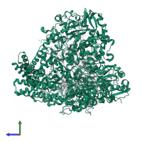 Dissimilatory sulfite reductase MccA in PDB entry 4rkn, assembly 1, side view.