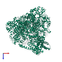 Dissimilatory sulfite reductase MccA in PDB entry 4rkn, assembly 1, top view.