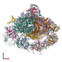 PDB entry 4rku coloured by chain, front view.