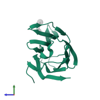 Galectin-3 in PDB entry 4rl7, assembly 1, side view.