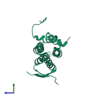 Disks large 1 tumor suppressor protein in PDB entry 4rp5, assembly 1, side view.