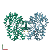 PDB entry 4rpa coloured by chain, front view.
