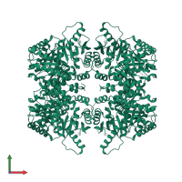 Pyruvate kinase PKM in PDB entry 4rpp, assembly 1, front view.
