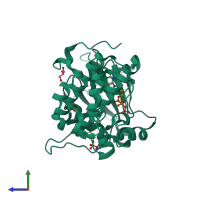 PDB entry 4rrv coloured by chain, side view.