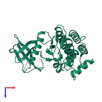 Tyrosine-protein kinase SYK in PDB entry 4rss, assembly 1, top view.