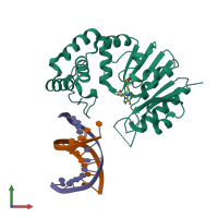 PDB entry 4rtl coloured by chain, front view.