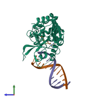 PDB 4rtl coloured by chain and viewed from the side.