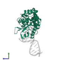 DNA adenine methylase in PDB entry 4rtm, assembly 1, side view.