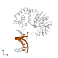 DNA (5'-D(*TP*CP*TP*AP*AP*AP*GP*AP*TP*CP*G)-3') in PDB entry 4rtm, assembly 1, front view.
