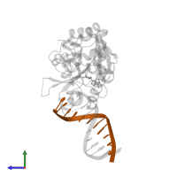 DNA (5'-D(*TP*CP*TP*AP*AP*AP*GP*AP*TP*CP*G)-3') in PDB entry 4rtm, assembly 1, side view.