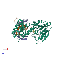 PDB entry 4rtp coloured by chain, top view.
