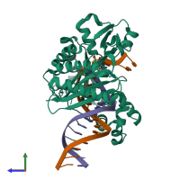 PDB entry 4ruc coloured by chain, side view.