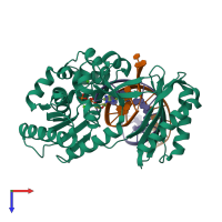 PDB entry 4ruc coloured by chain, top view.