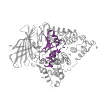 The deposited structure of PDB entry 4rvb contains 1 copy of CATH domain 3.30.2010.30 (Zincin-like) in Leukotriene A-4 hydrolase. Showing 1 copy in chain A.