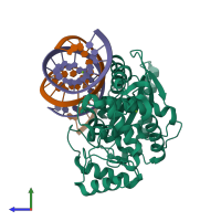 PDB entry 4rwn coloured by chain, side view.