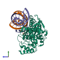 PDB entry 4rwp coloured by chain, side view.