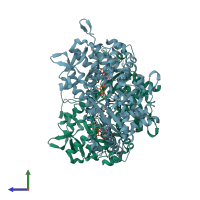 PDB entry 4rxp coloured by chain, side view.