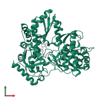 RNA-directed RNA polymerase in PDB entry 4ry5, assembly 1, front view.