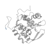 The deposited structure of PDB entry 4rza contains 1 copy of Pfam domain PF12871 (Pre-mRNA-splicing factor 38-associated hydrophilic C-term) in Pre-mRNA-splicing factor 38A. Showing 1 copy in chain A.