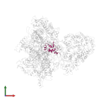 DNA-directed RNA polymerase subunit omega in PDB entry 4s20, assembly 1, front view.