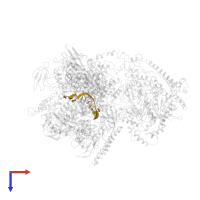 5'-D(P*AP*CP*GP*AP*CP*TP*GP*AP*GP*CP*CP*GP*AP*TP*G)-3' in PDB entry 4s20, assembly 1, top view.