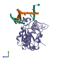 PDB entry 4skn coloured by chain, side view.