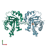 PDB entry 4tim coloured by chain, front view.