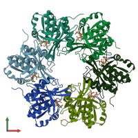 PDB entry 4tlb coloured by chain, front view.