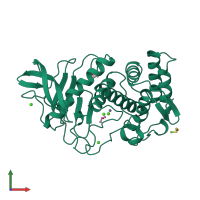 PDB entry 4tli coloured by chain, front view.