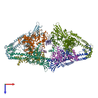 PDB entry 4tma coloured by chain, top view.
