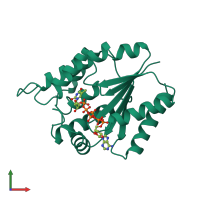 PDB entry 4tmk coloured by chain, front view.
