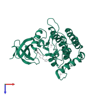 Casein kinase I isoform delta in PDB entry 4tn6, assembly 1, top view.