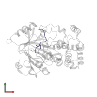 Histone H3.1 in PDB entry 4tn7, assembly 1, front view.