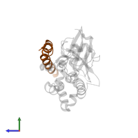 Autophagy-related protein 16-1 in PDB entry 4tq0, assembly 1, side view.