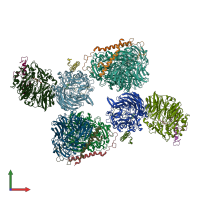 PDB entry 4tqo coloured by chain, front view.