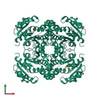 Homo tetrameric assembly 1 of PDB entry 4trm coloured by chemically distinct molecules, front view.