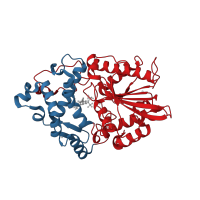 The deposited structure of PDB entry 4tsr contains 2 copies of CATH domain 3.40.50.1240 (Rossmann fold) in Phytase AppA. Showing 2 copies in chain A.