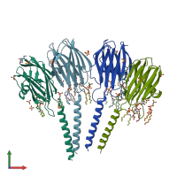 PDB entry 4tsy coloured by chain, front view.
