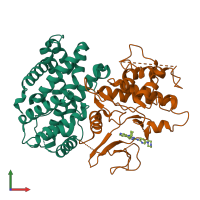 PDB 4tth coloured by chain and viewed from the front.
